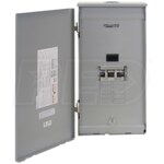 Reliance Controls 60-Amp Utility/50-Amp (GFI) Gen Outdoor Transfer Panel