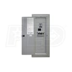 Reliance Controls 100-Amp Utility/60-Amp (GFI) Gen Outdoor Transfer Panel w/ Meters