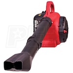 Southland 25cc 2-Cycle Hand Held Leaf Blower