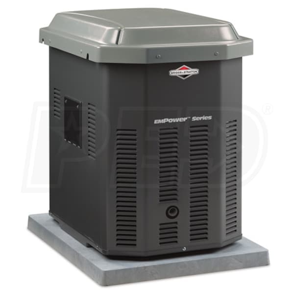 Briggs & Stratton 40301