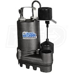 Basement Watchdog Professional 1/3 HP Cast Iron Sump Pump w/ Vertical Float