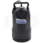 Basement Watchdog SIT-33D