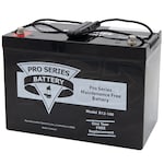 Basement Watchdog Emergency Backup Sump Pump (1000 GPH @ 10') w/ Maintenance Free Battery