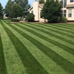 Big League Lawns PEDHQLGT48