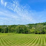 Big League Lawns PEDHQZ2F39