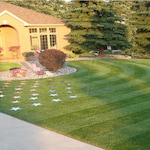 Big League Lawns PED_RPM20_TRFWD