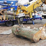 Black Splitter S2 800