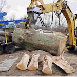 Black Splitter S2X800