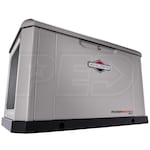 Briggs & Stratton 040661-SD