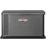 Briggs & Stratton 40555