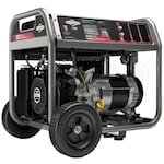 Briggs & Stratton Portable 030737