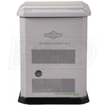 Briggs & Stratton 040743