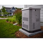 Briggs & Stratton 040746