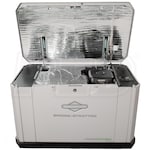 Briggs & Stratton 040756