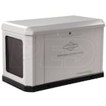 Briggs & Stratton 040803