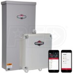 Briggs & Stratton 071211