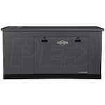 Briggs & Stratton 076880