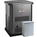 Briggs & Stratton 40449