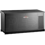 Briggs & Stratton 76175