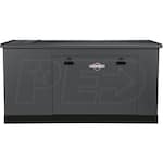 Briggs & Stratton 76331