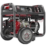 Briggs & Stratton Portable 030741
