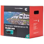 Cummins Onan A060Z347