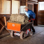 DR Power Equipment PW25070BEN