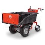 DR Power Equipment PW25070BEN