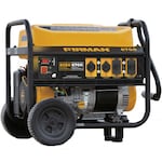 Firman Generators P06701