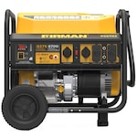 Firman Generators P06702
