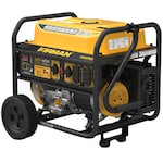 Firman Generators P06702