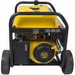 Firman Generators P08003