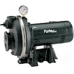 Flotec FP4322-08