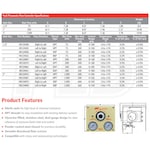 Ingersoll Rand 49124399