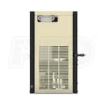 Ingersoll Rand DB170ECA100G