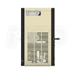 Ingersoll Rand DB43ECA100G