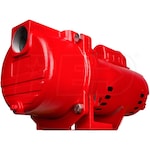 Red Lion 76 GPM 2 HP Self-Priming Cast Iron Sprinkler Pump