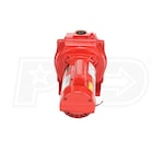 Red Lion RLSP-200-SD