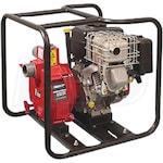 Riverside Pumps TP2B