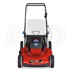 Toro 20361