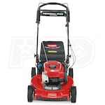 Toro 21462