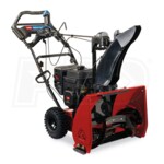 Toro 36003-SD