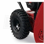 Toro 36003-SD