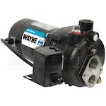Wayne CWS75 - 3/4 HP Cast Iron Convertible Well Jet Pump