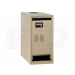 Weil-McLain 118301300