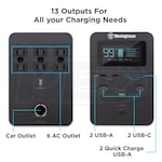 Westinghouse IGEN1000S