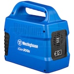 Westinghouse IGEN300S