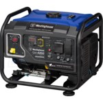 Westinghouse IGEN4200
