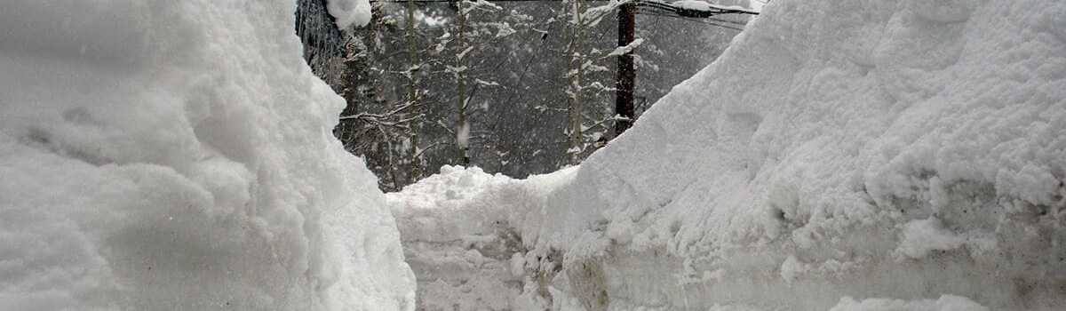 How to Track Shipping Delays