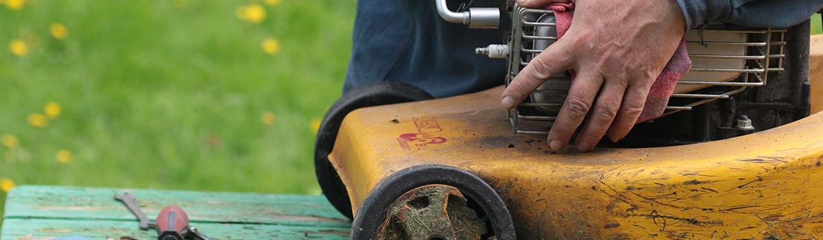 Small Gas Engine Buyer's Guide